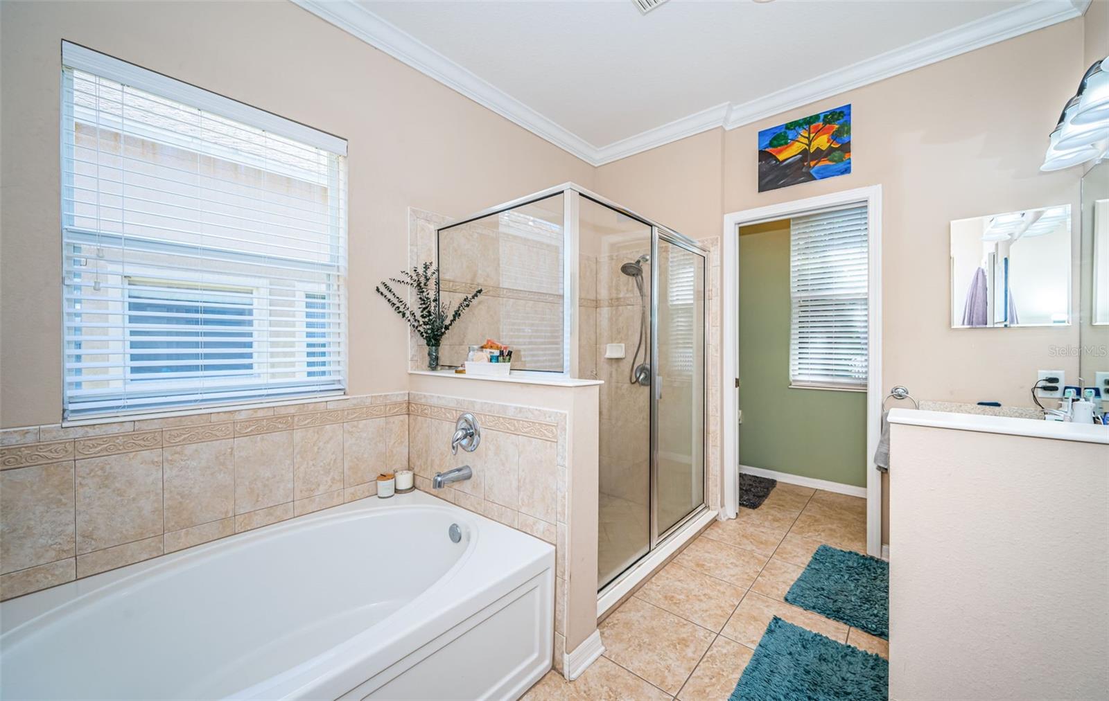 Image 21 of 66 For 19610 Sunset Bay Drive