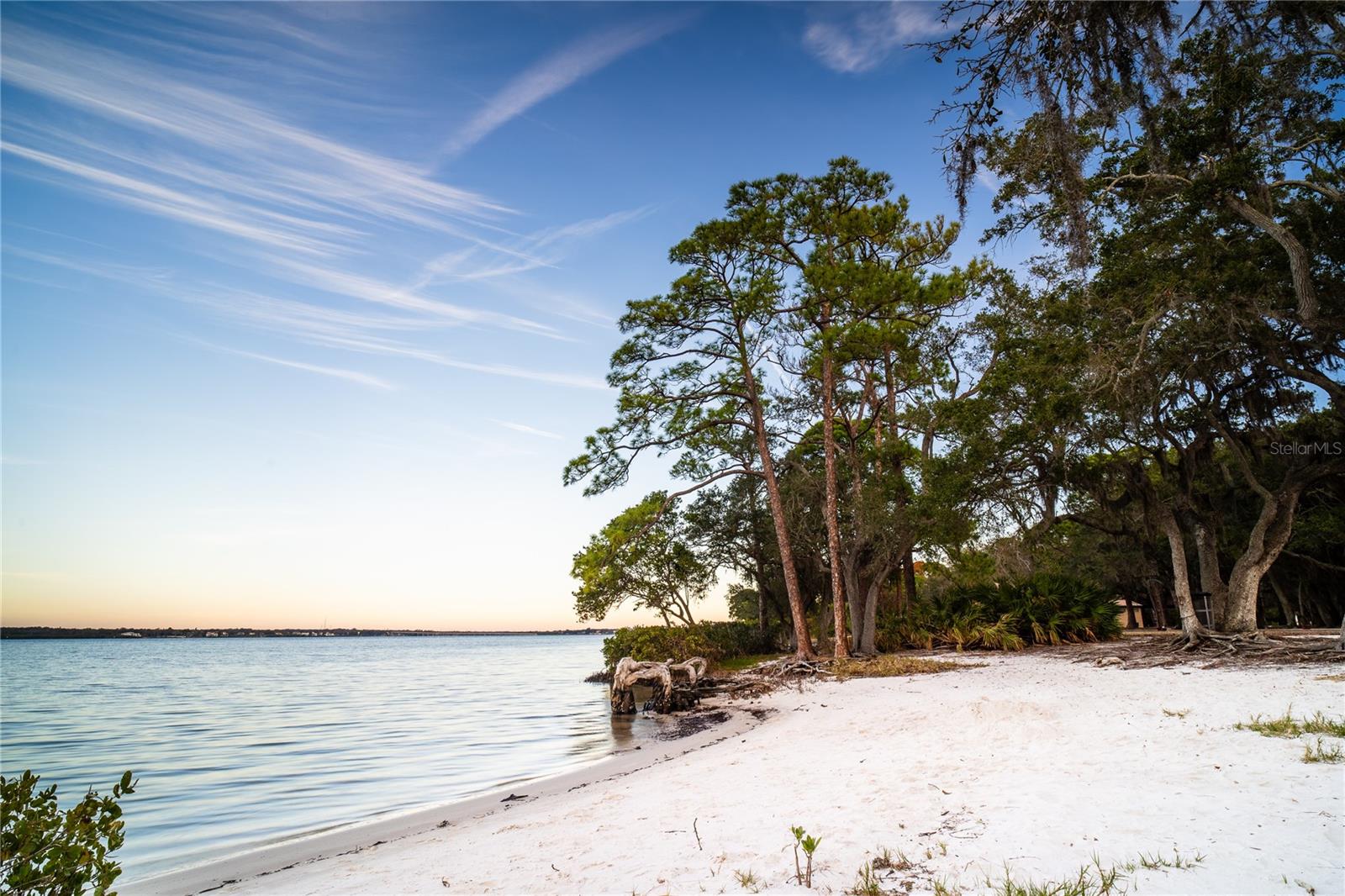 Image 16 of 19 For 601 Park Boulevard