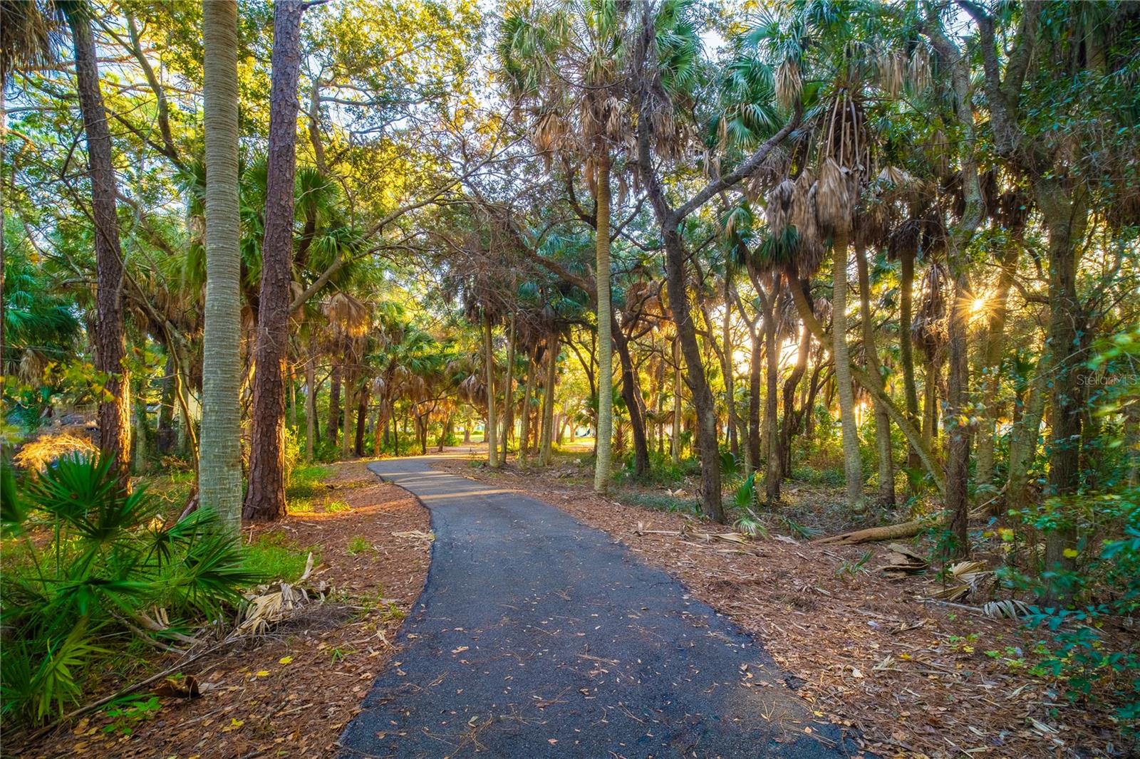 Image 19 of 19 For 601 Park Boulevard