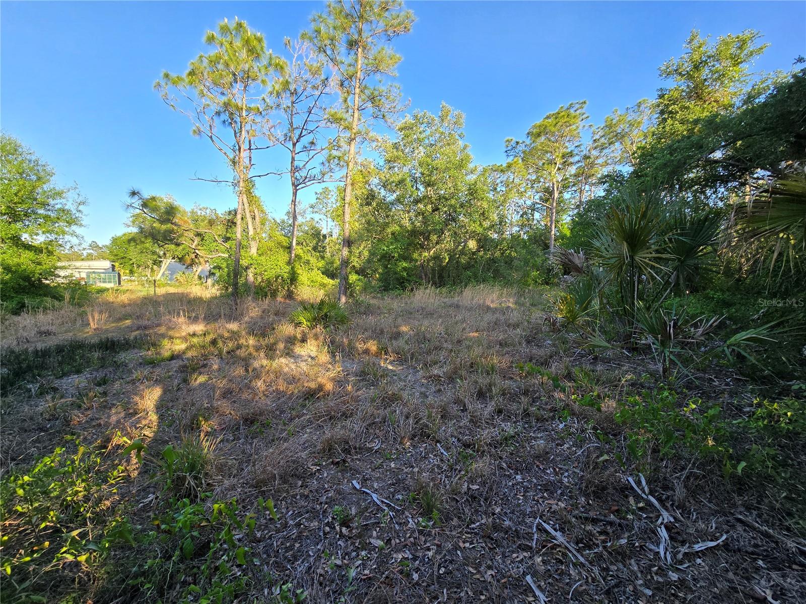 Image 4 of 9 For  Waller Road 