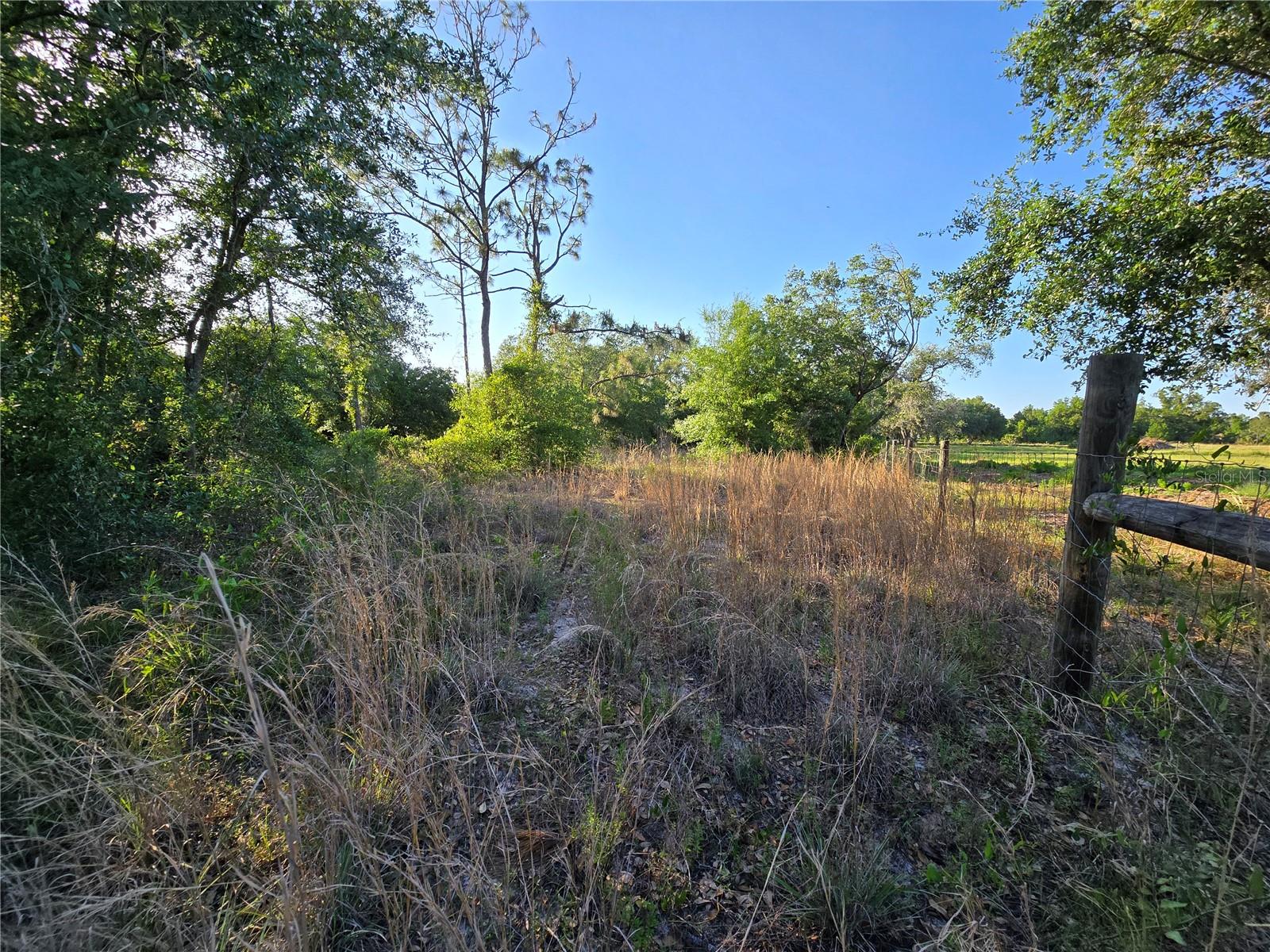 Image 5 of 9 For  Waller Road 