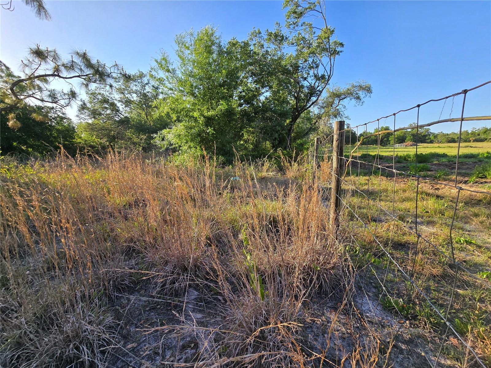 Image 6 of 9 For  Waller Road 