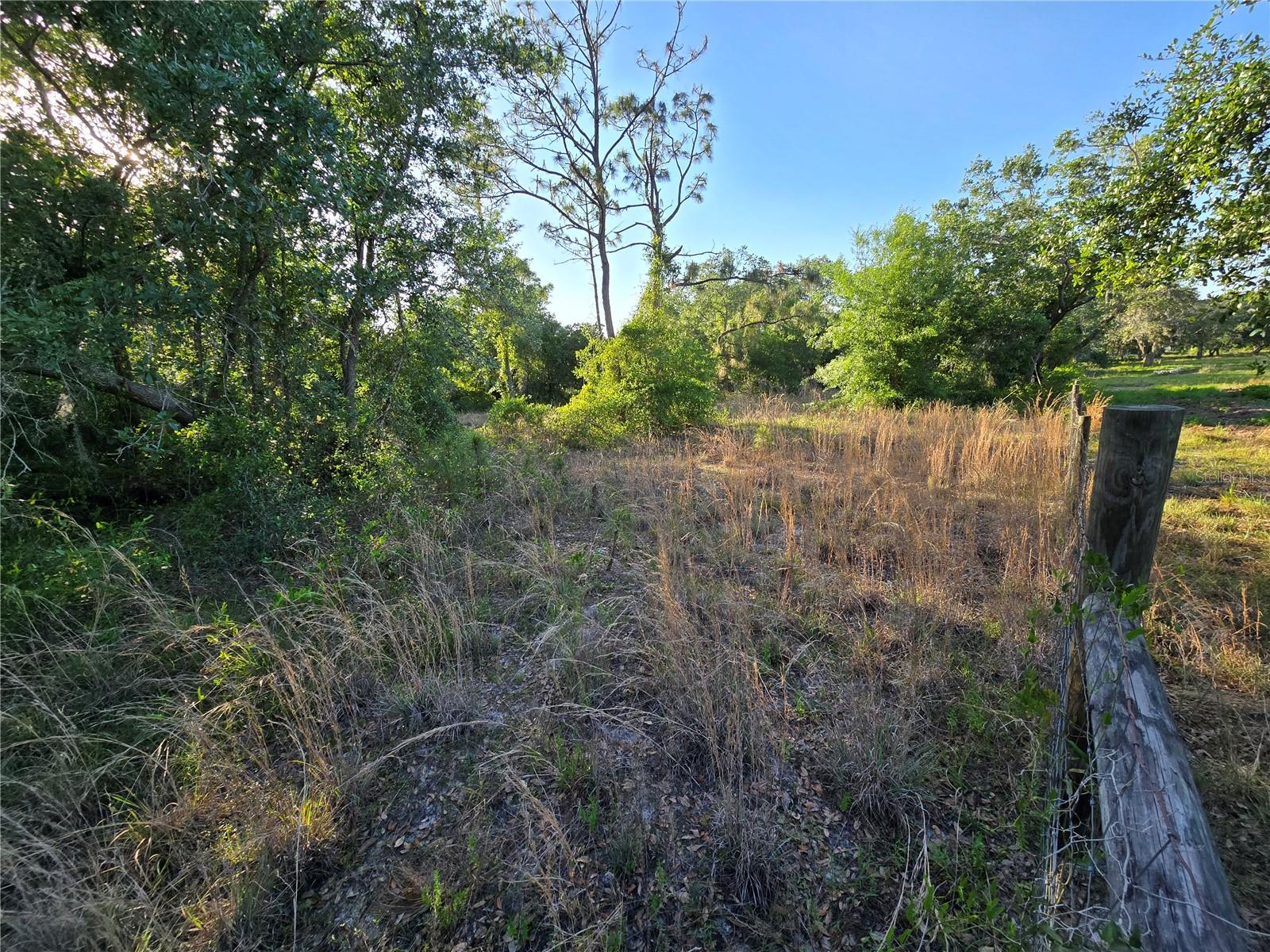 Image 8 of 9 For  Waller Road 