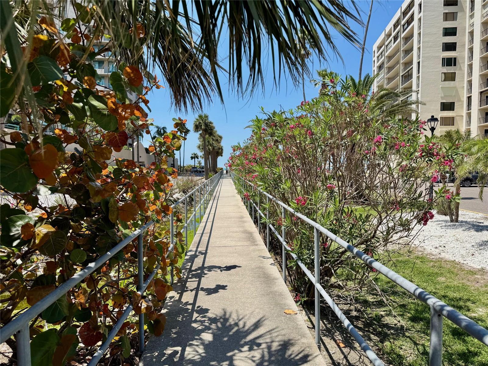 Image 16 of 63 For 1451 Gulf Boulevard 117