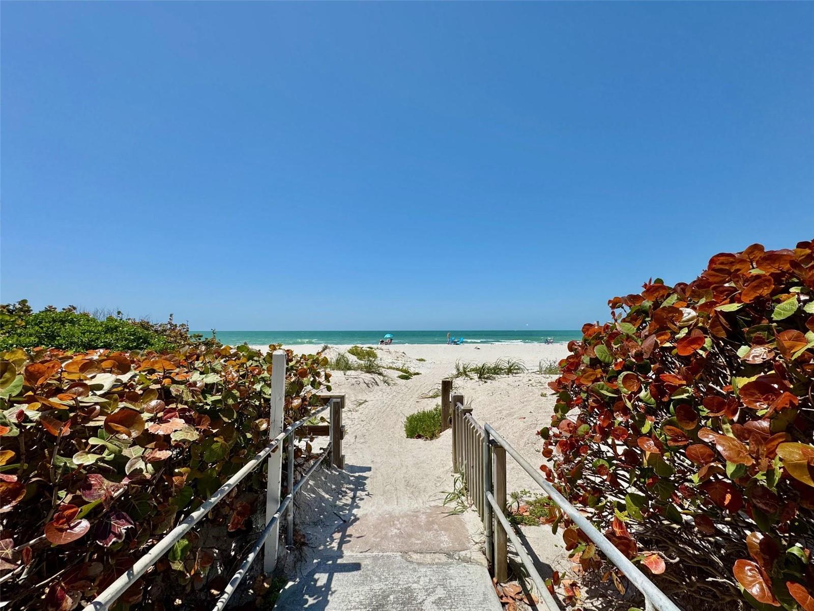 Image 17 of 63 For 1451 Gulf Boulevard 117