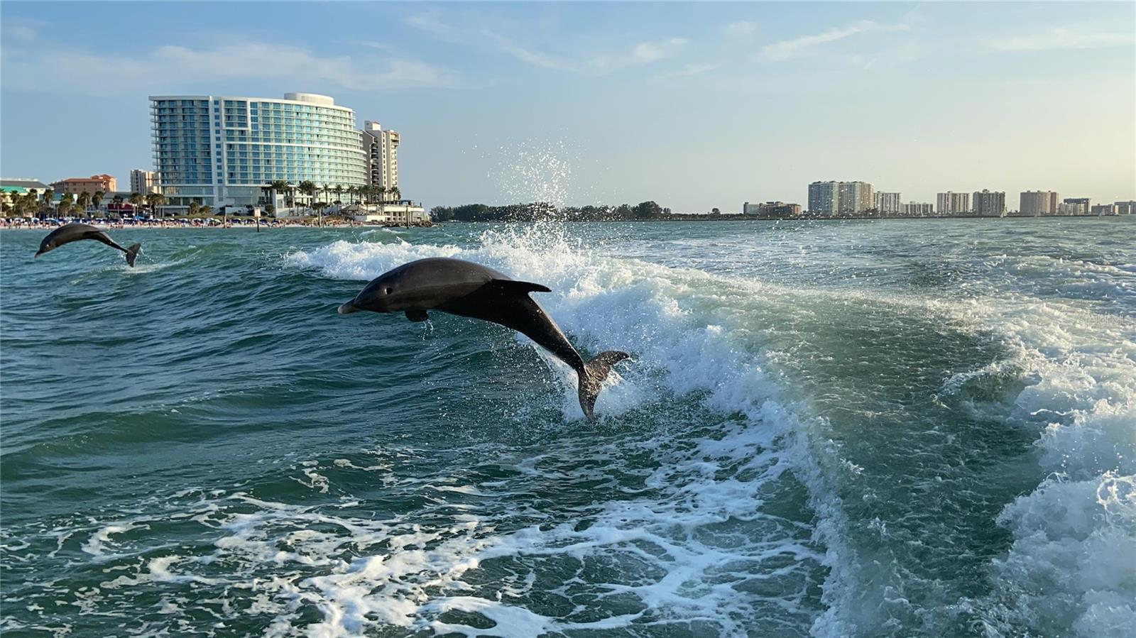 Image 55 of 63 For 1451 Gulf Boulevard 117