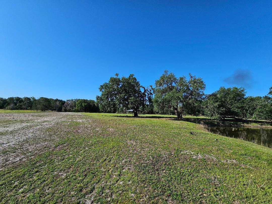 Image 10 of 14 For  Arena Road 