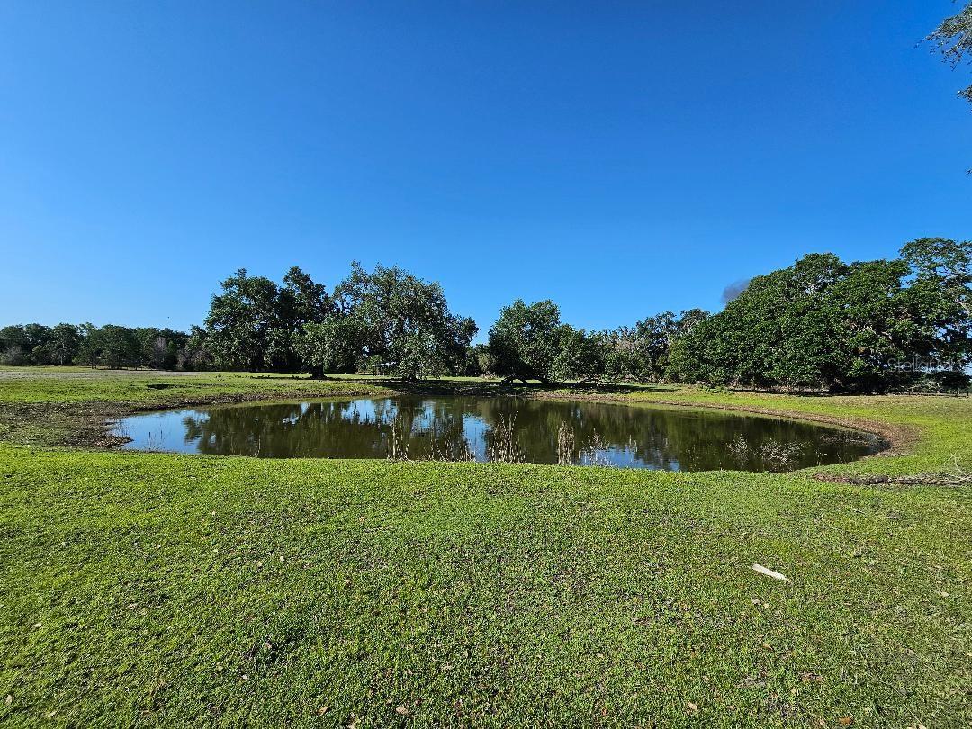 Image 13 of 14 For  Arena Road 