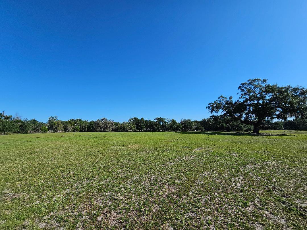 Image 7 of 14 For  Arena Road 