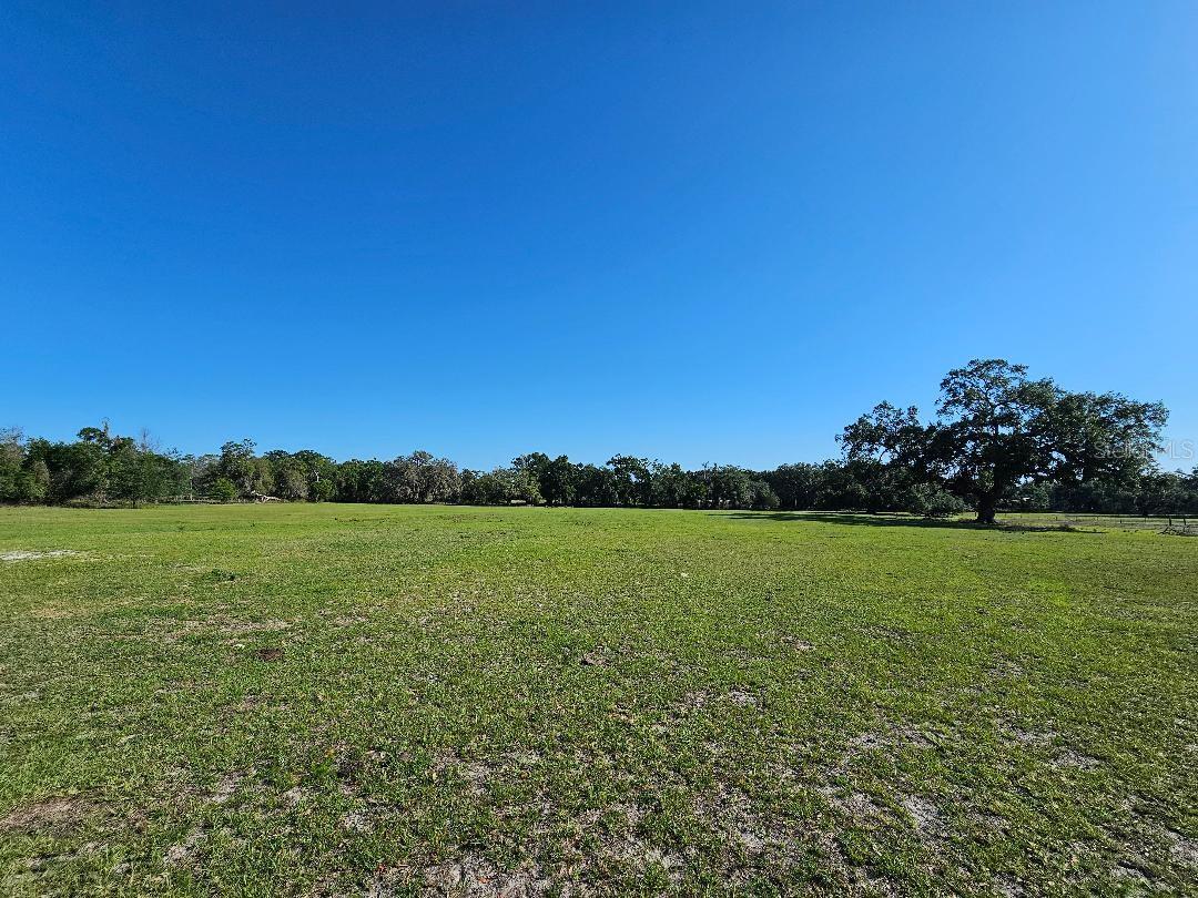 Image 9 of 14 For  Arena Road 