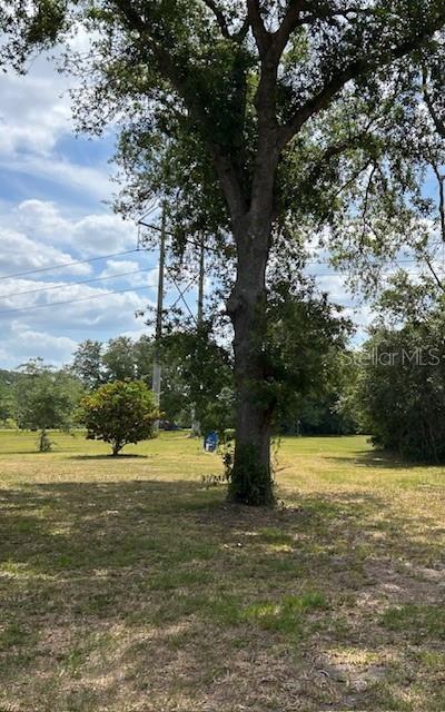 Listing photo id 3 for 17127 Brown Road
