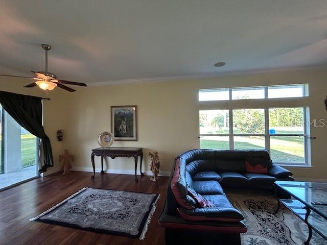 Listing photo id 51 for 17127 Brown Road