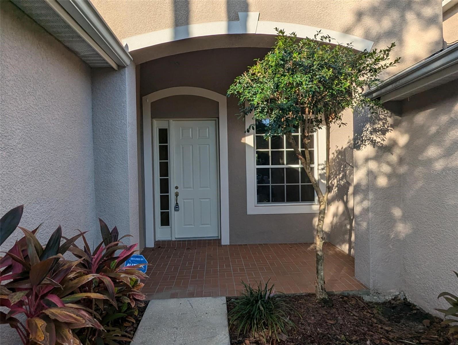 Listing photo id 4 for 19116 Nature Palm Lane