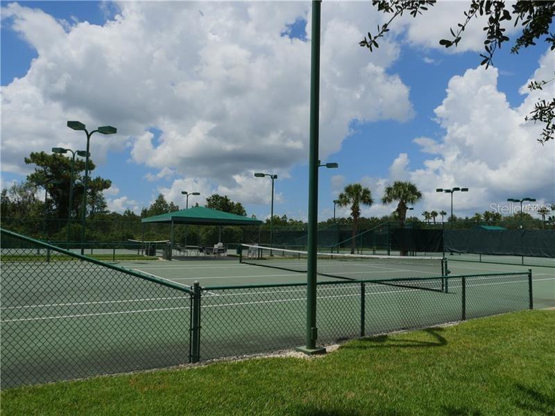 Listing photo id 68 for 19116 Nature Palm Lane