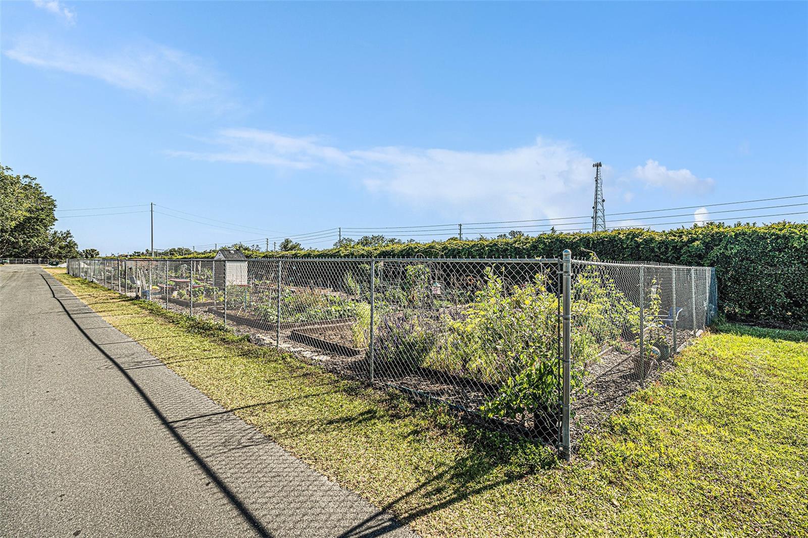 Image 31 of 53 For 7519 Berna Lane