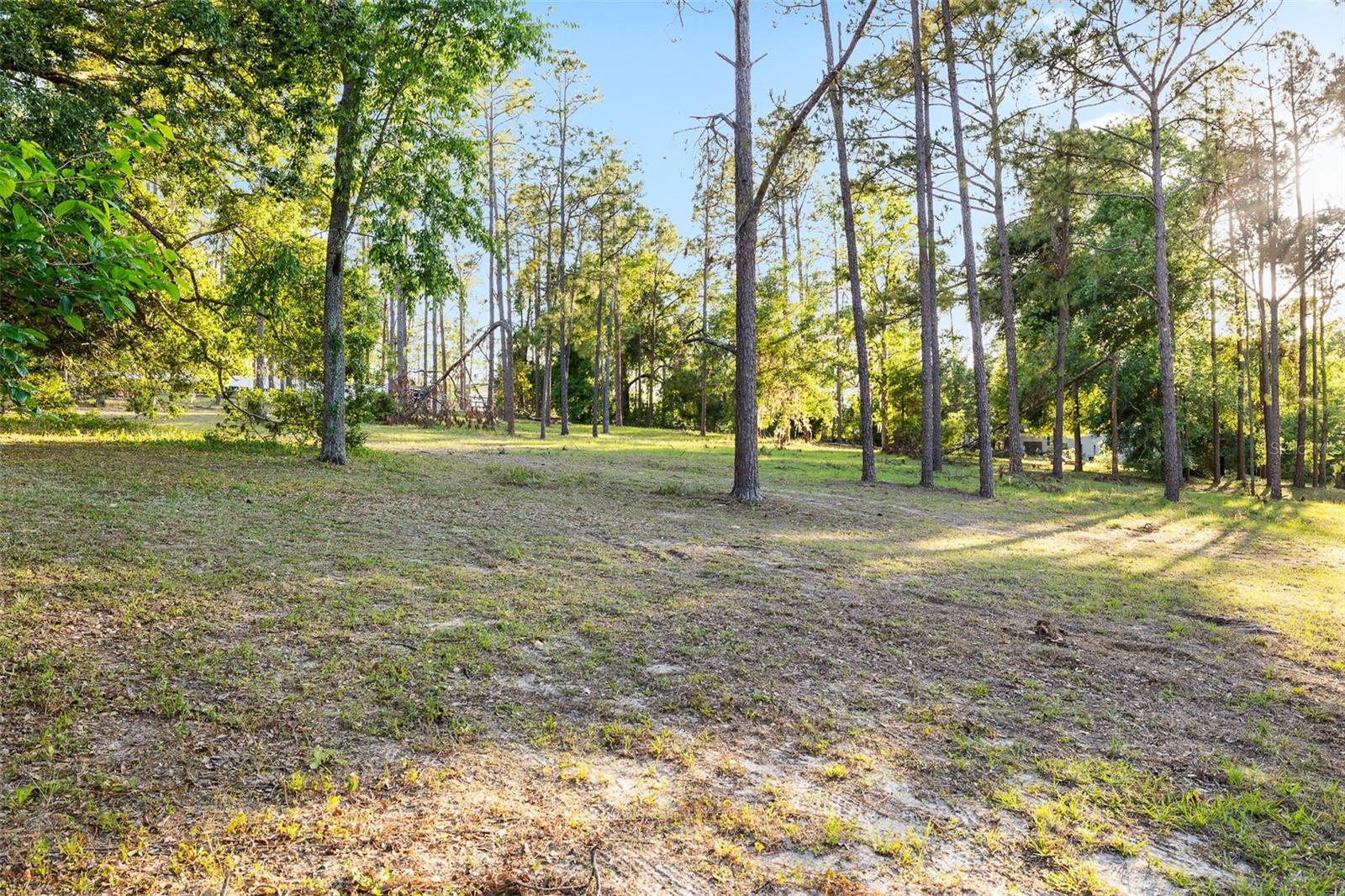 Image 36 of 40 For 13721 Mcintosh Drive