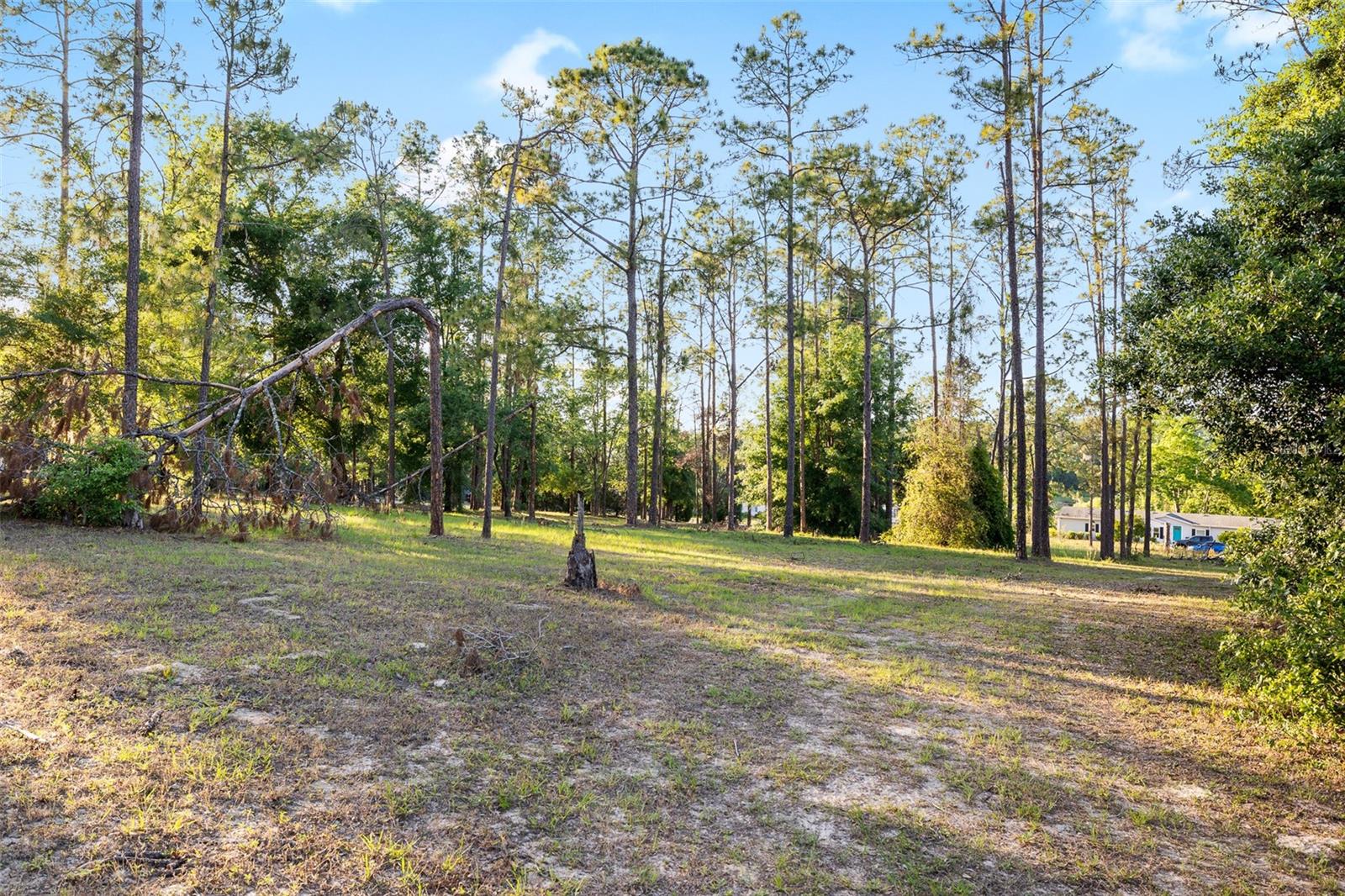 Image 37 of 40 For 13721 Mcintosh Drive