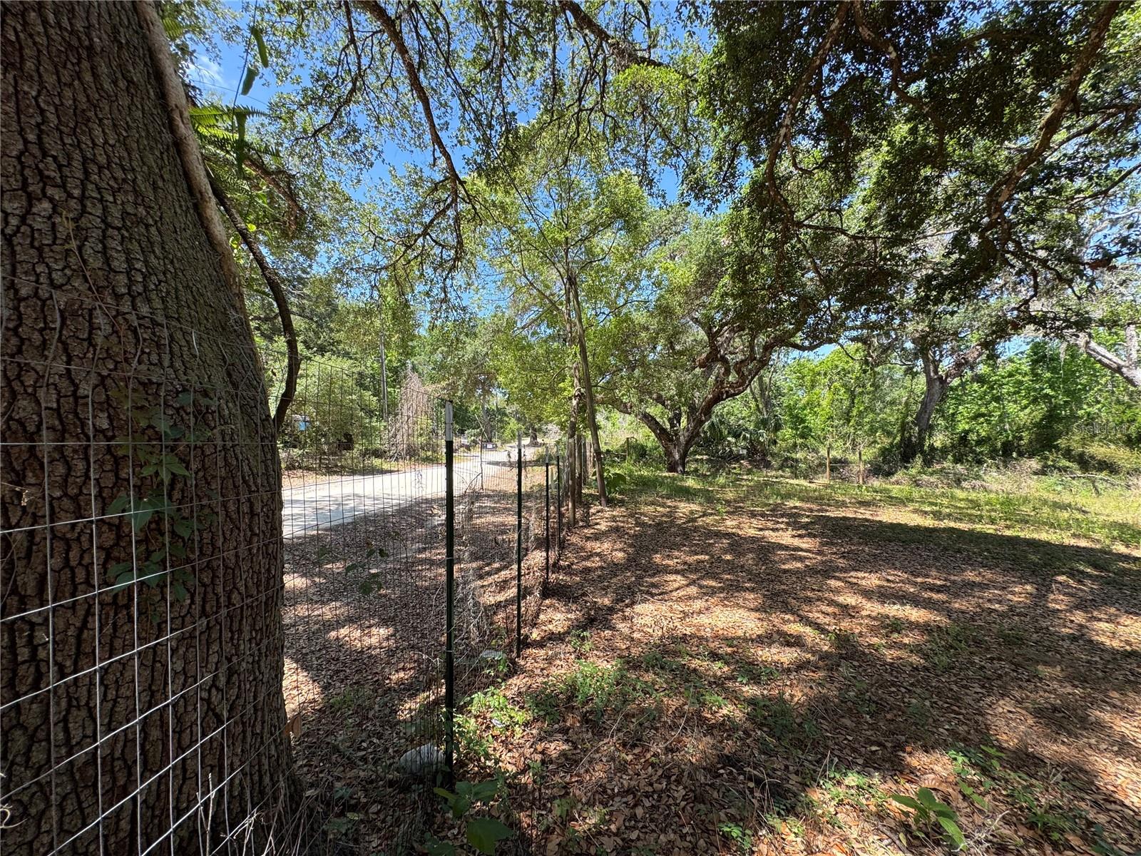 Image 4 of 13 For Tannahill Street