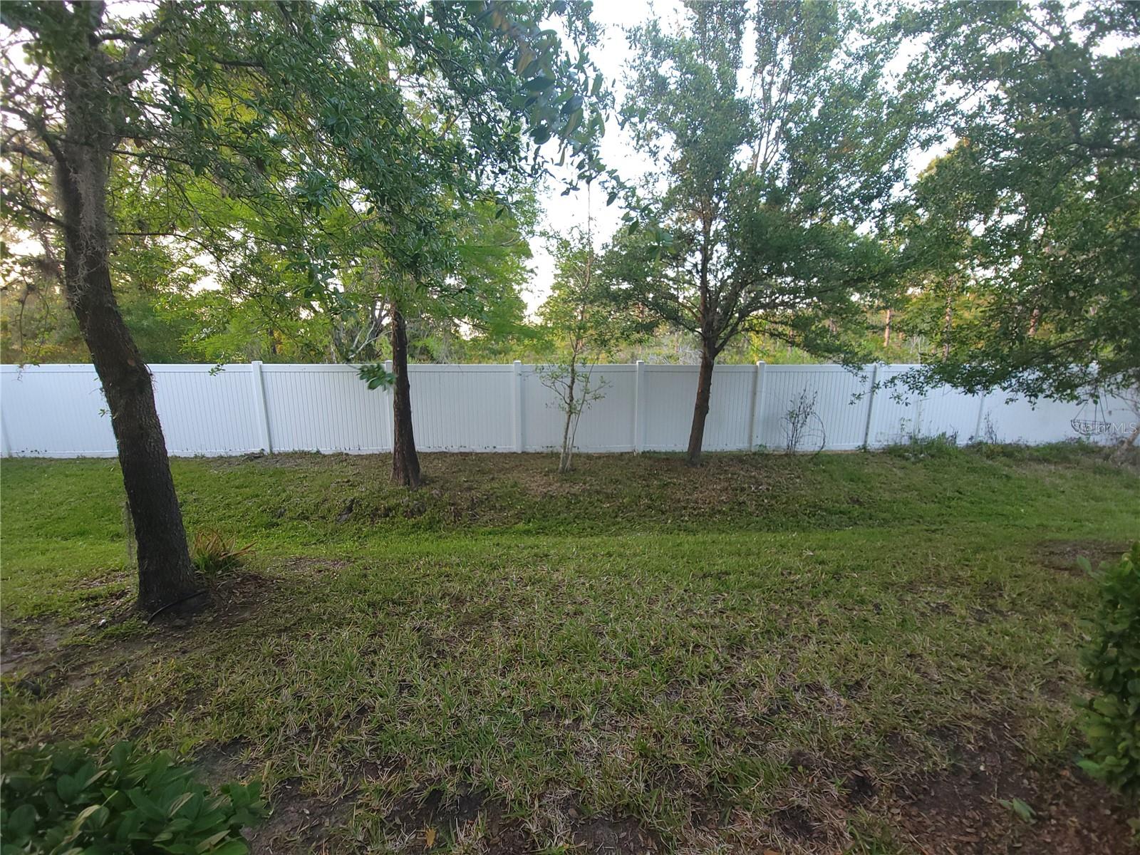 Image 42 of 61 For 31251 Claridge Place