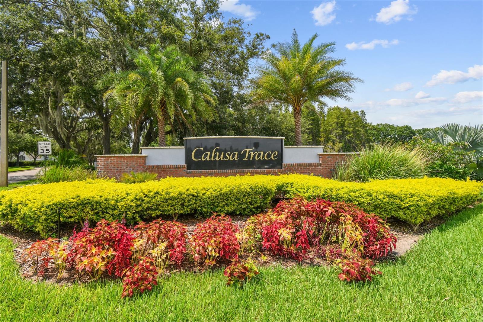 Image 40 of 45 For 18533 Avocet Drive