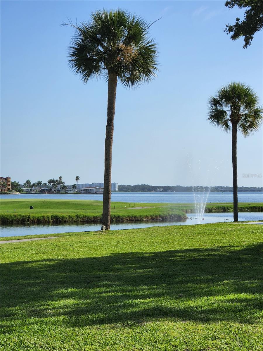 Image 42 of 44 For 2621 Cove Cay Drive 204
