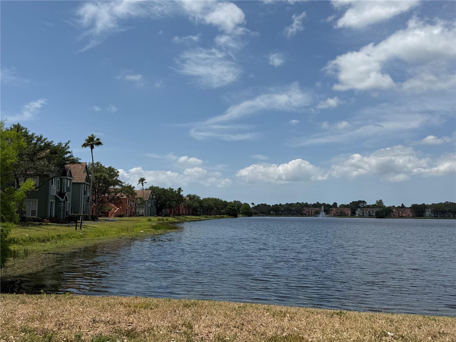 Image 23 of 25 For 9650 Lake Chase Island Way 9650