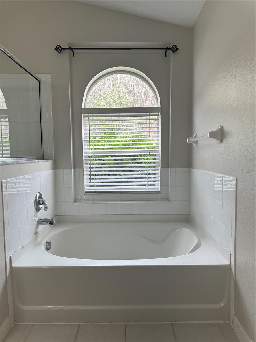 Image 41 of 100 For 10460 Lucaya Drive