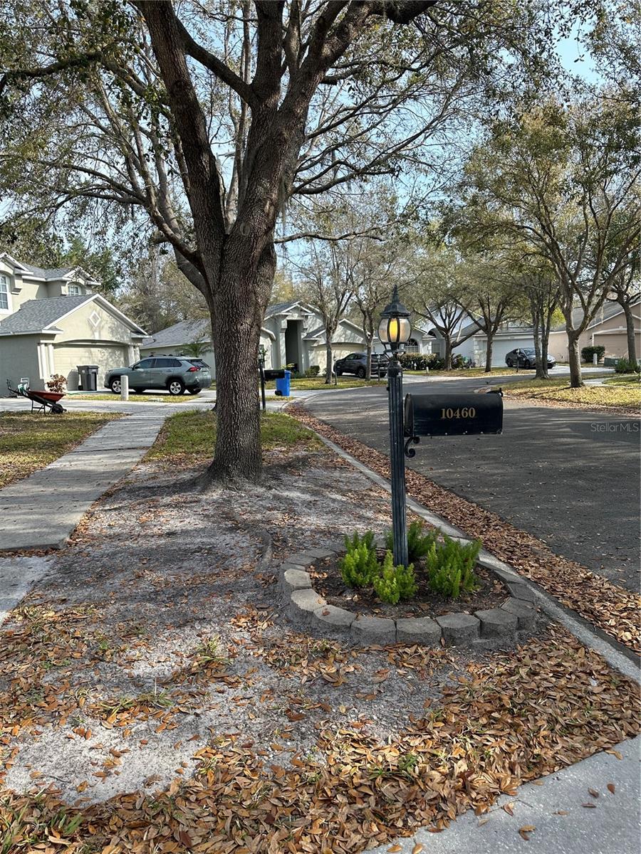 Image 5 of 100 For 10460 Lucaya Drive