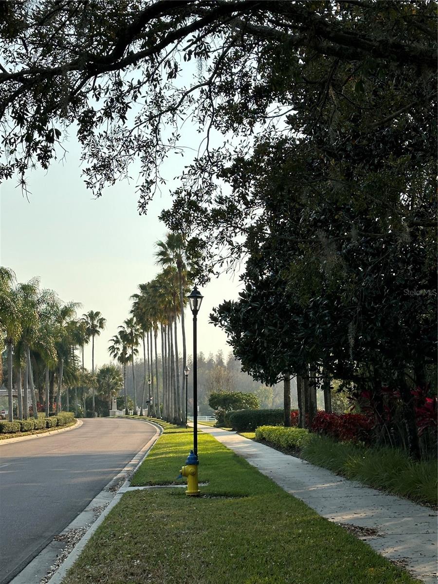 Image 91 of 100 For 10460 Lucaya Drive