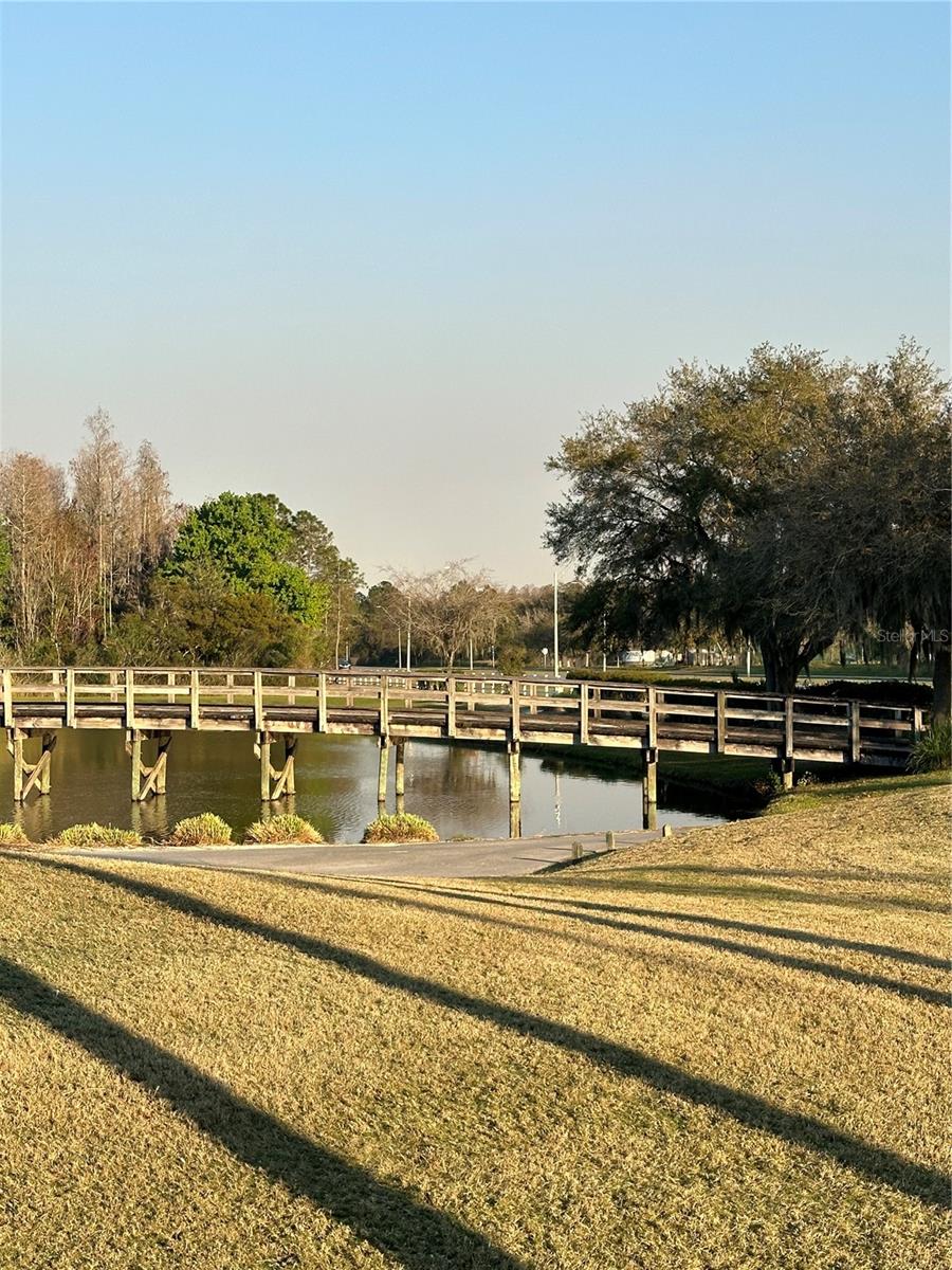 Image 94 of 100 For 10460 Lucaya Drive