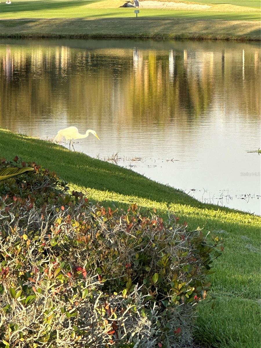 Image 95 of 100 For 10460 Lucaya Drive