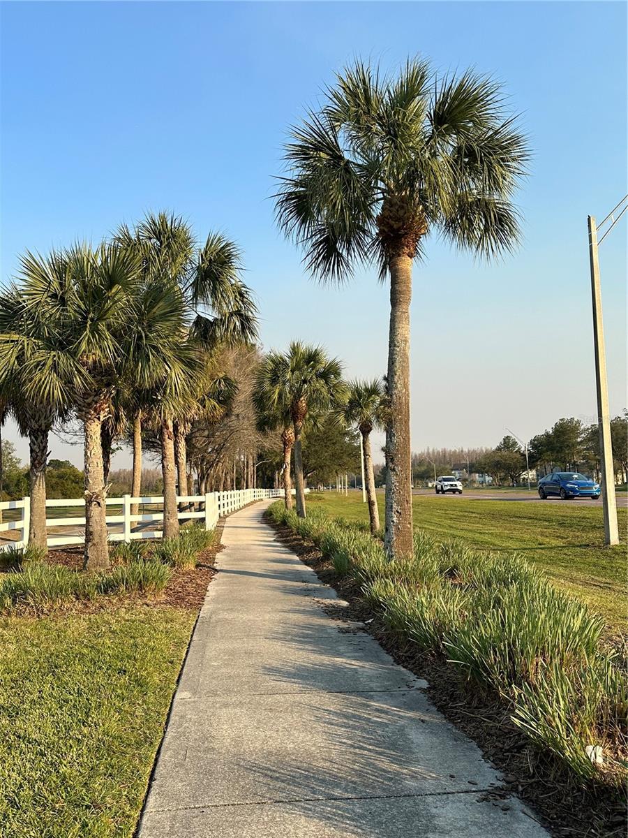 Image 98 of 100 For 10460 Lucaya Drive