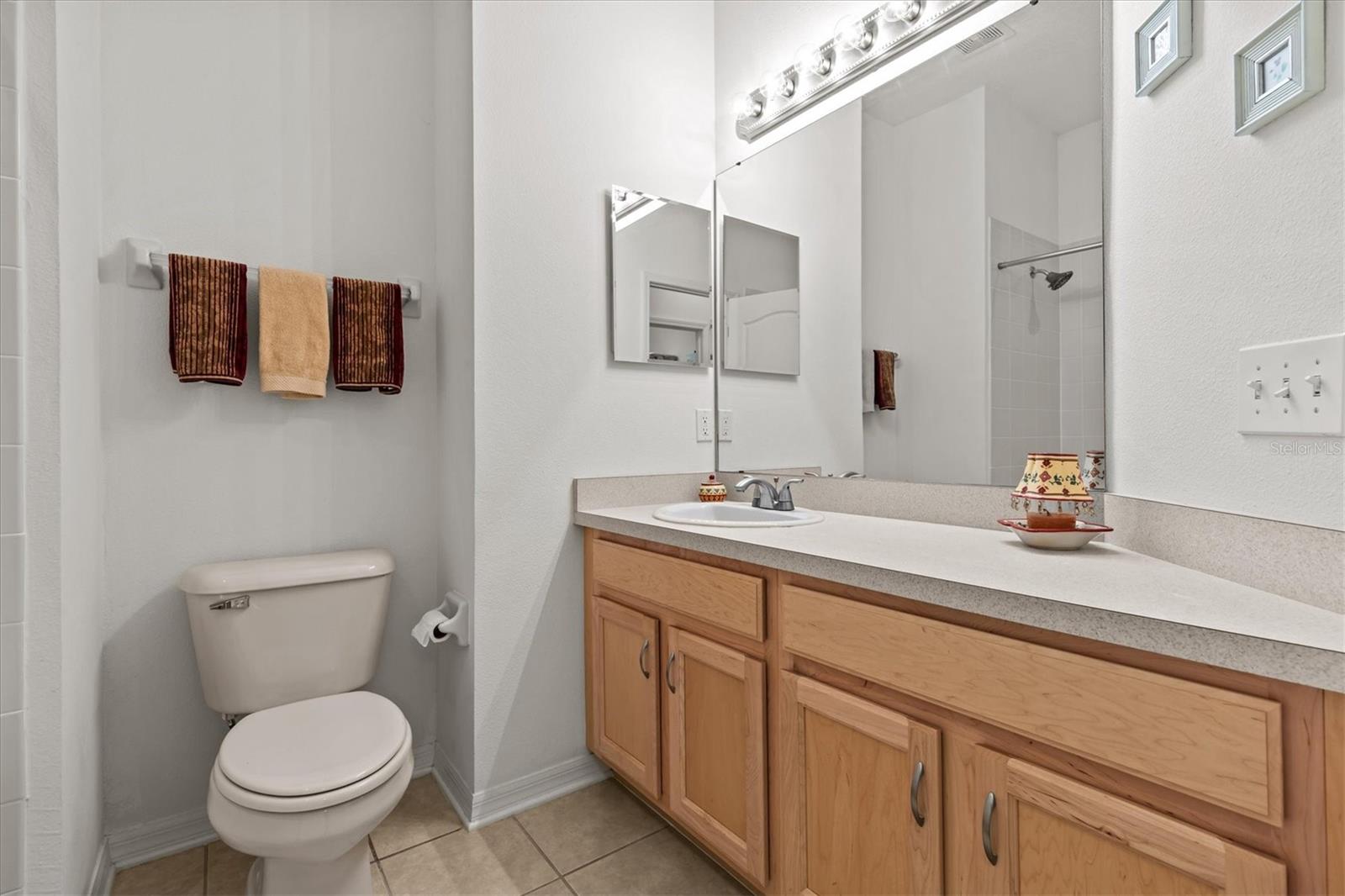 Image 29 of 47 For 8704 Sandy Plains Drive