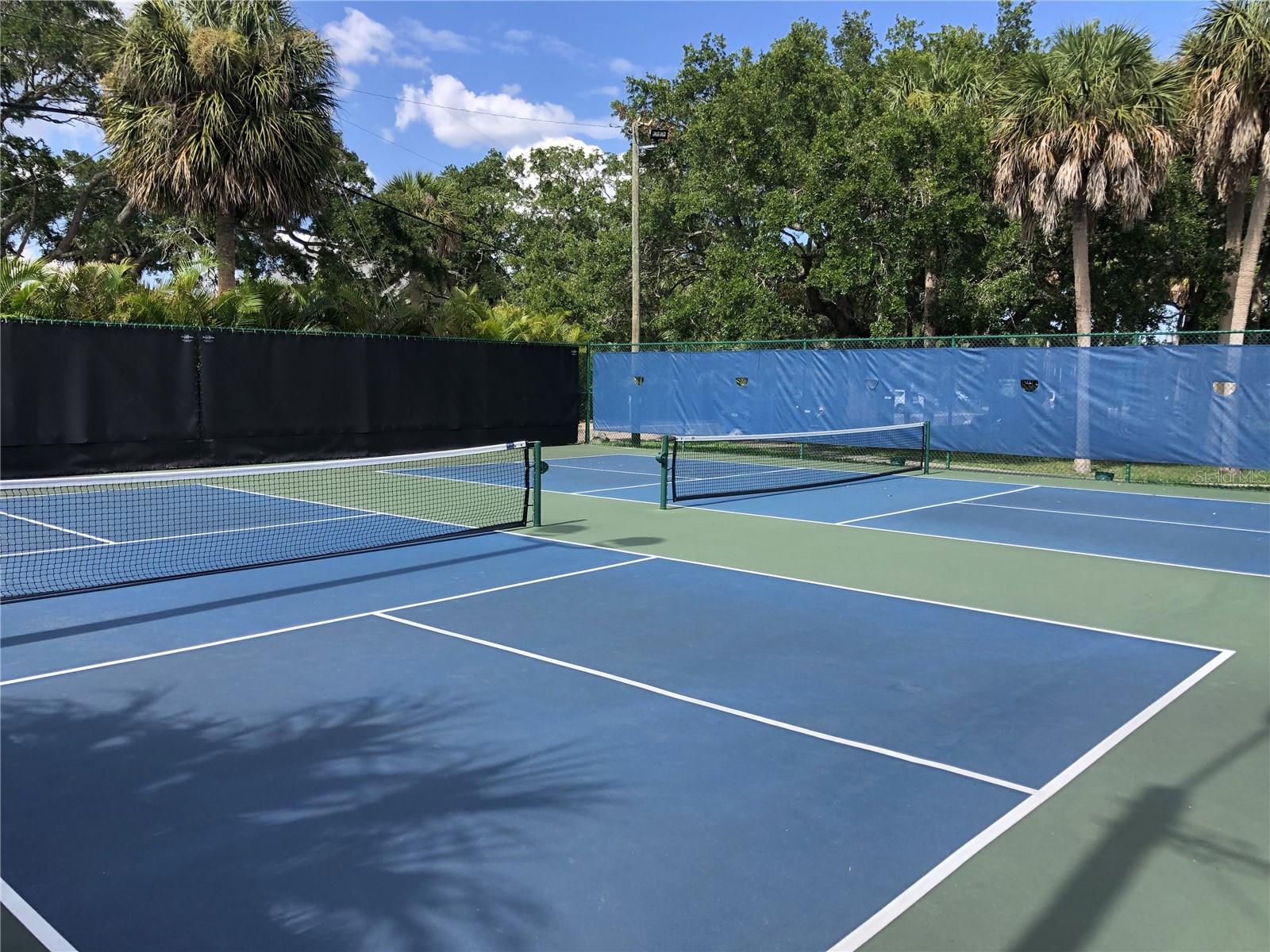 Image 45 of 60 For 1412 Gulf Boulevard 103a