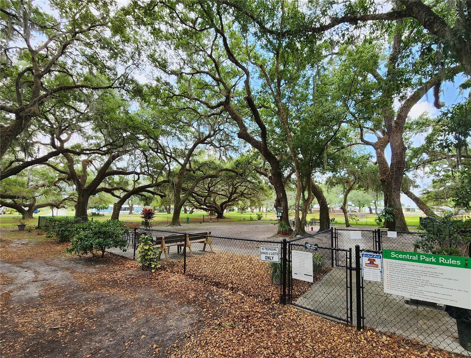 Listing photo id 17 for 5144 Betmar Drive