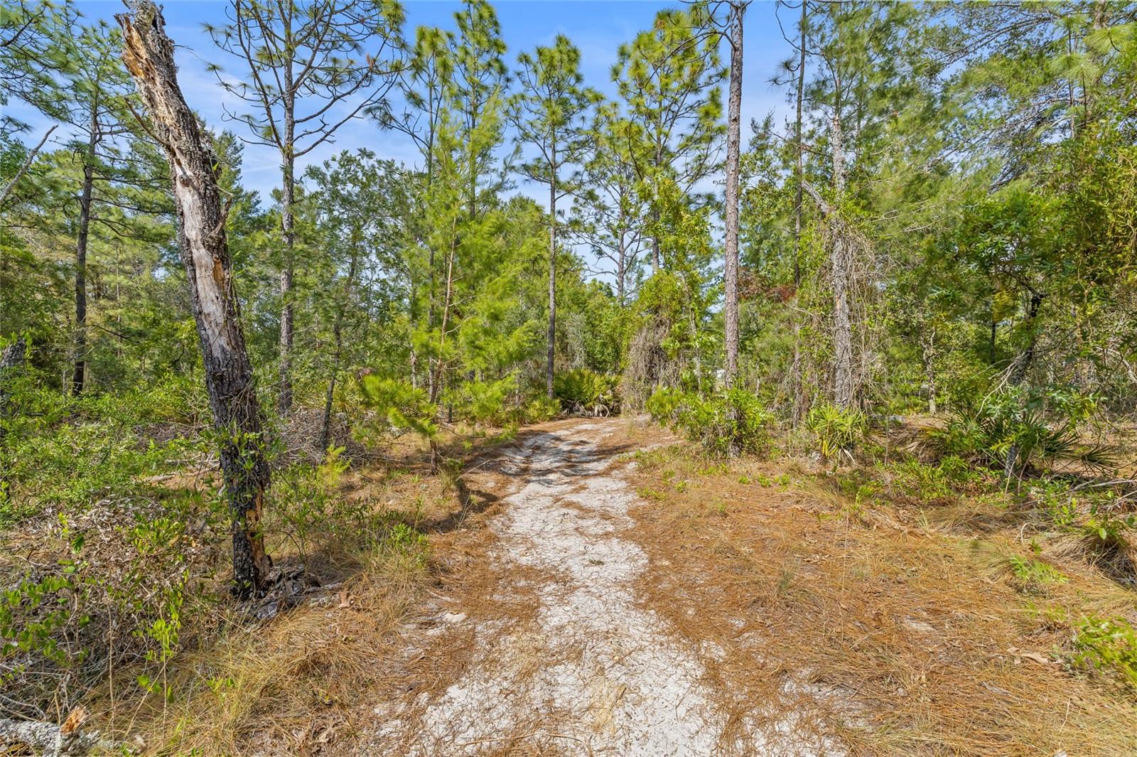 Image 11 of 32 For 8459 Mazette Road