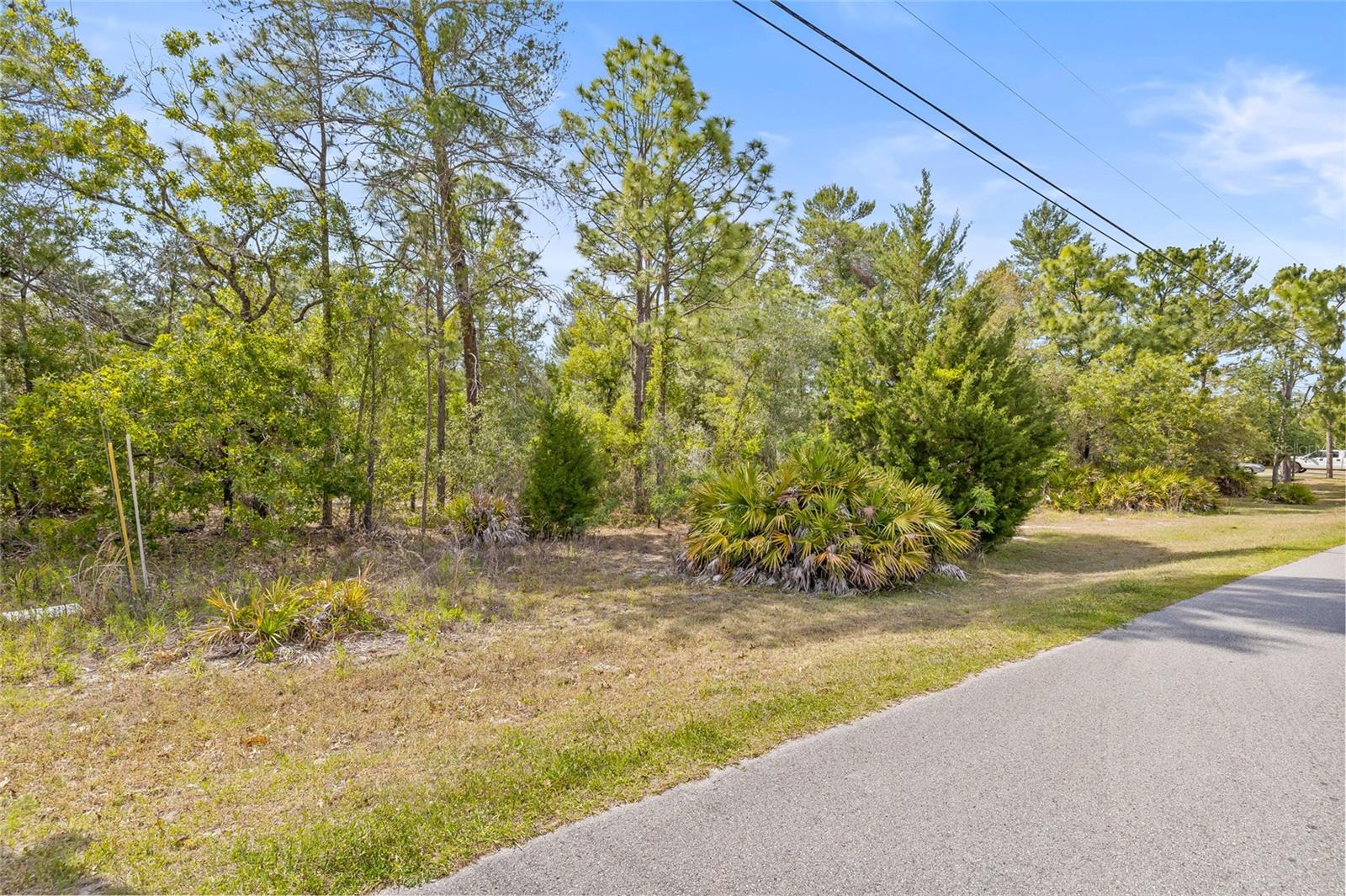 Image 6 of 32 For 8459 Mazette Road