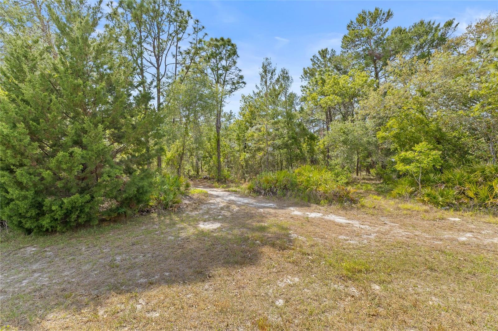 Image 7 of 32 For 8459 Mazette Road