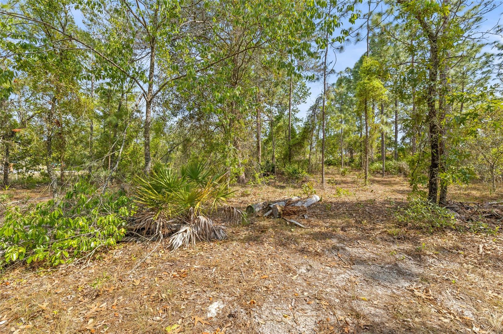 Image 9 of 32 For 8459 Mazette Road