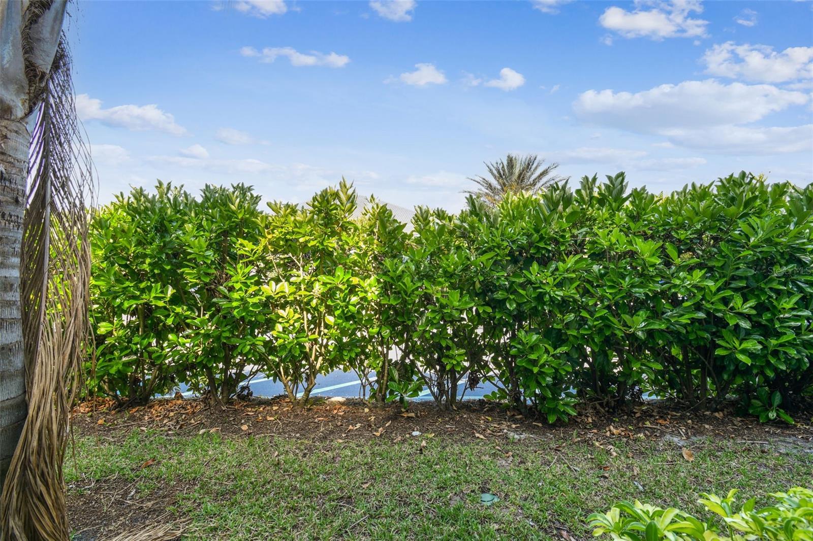Image 62 of 87 For 1231 Godavari Way 103