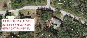 Listing photo id 5 for Lots 56-57 Hagar Drive
