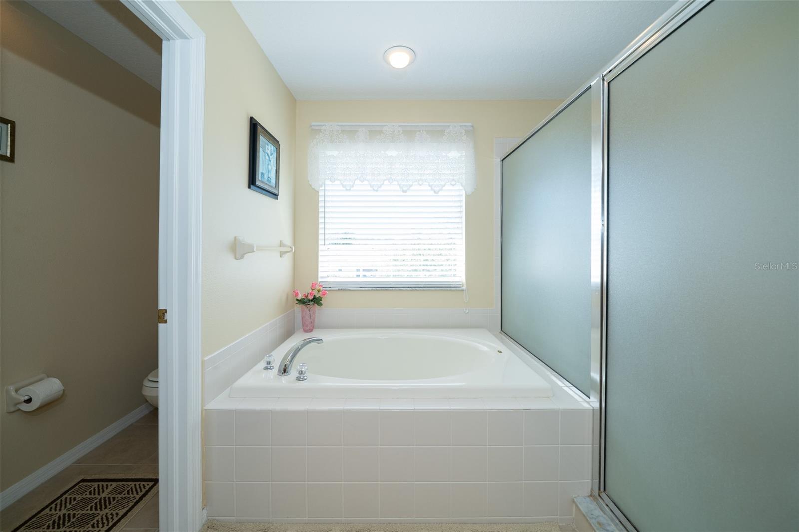 Image 32 of 42 For 30526 Annadale Drive