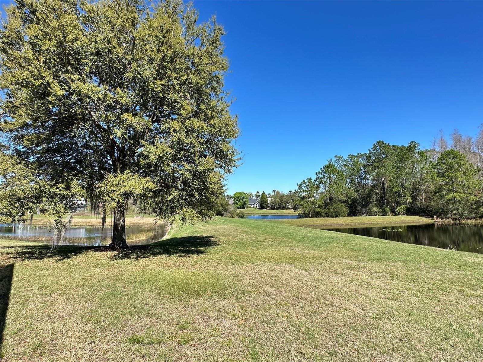 Image 41 of 43 For 8120 Turkey Hill Court