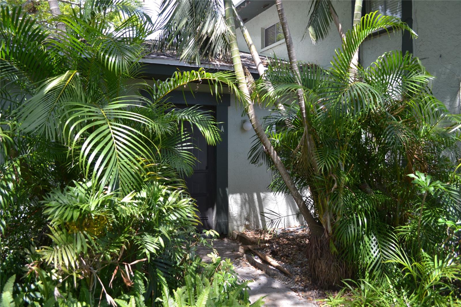 Details for 2906 Lichen Lane A, CLEARWATER, FL 33760