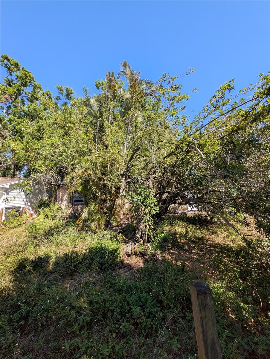 Listing photo id 1 for 6901 33rd Street N