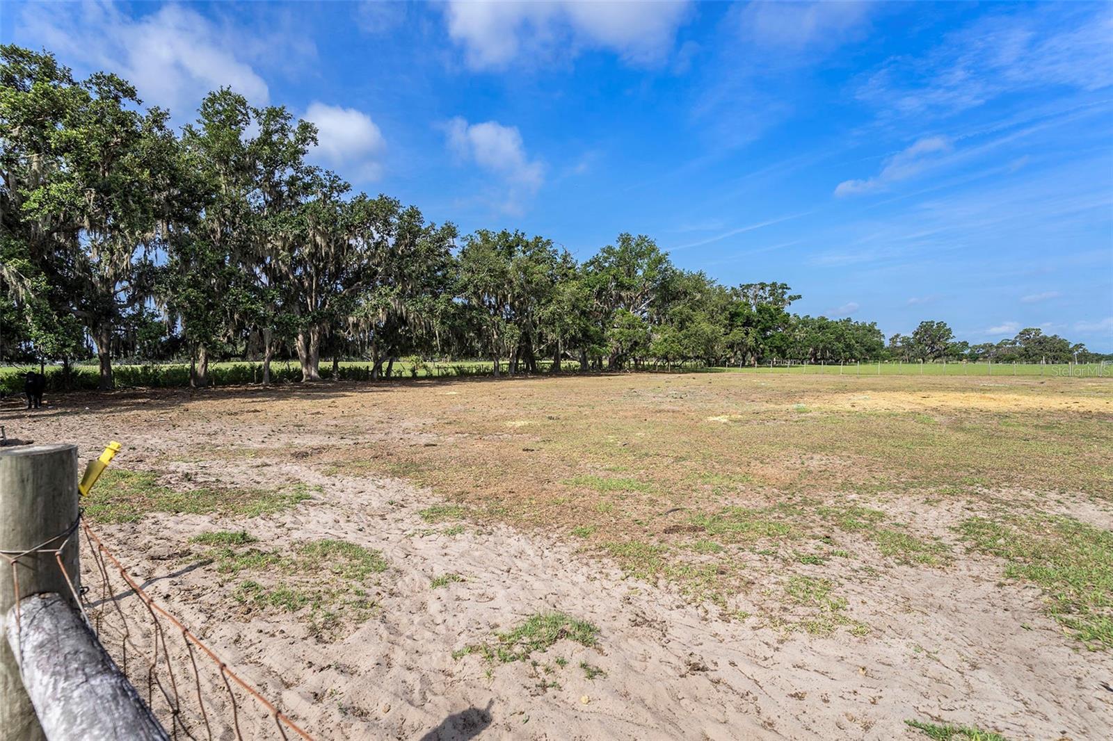 Image 22 of 32 For 16037 County Road 39