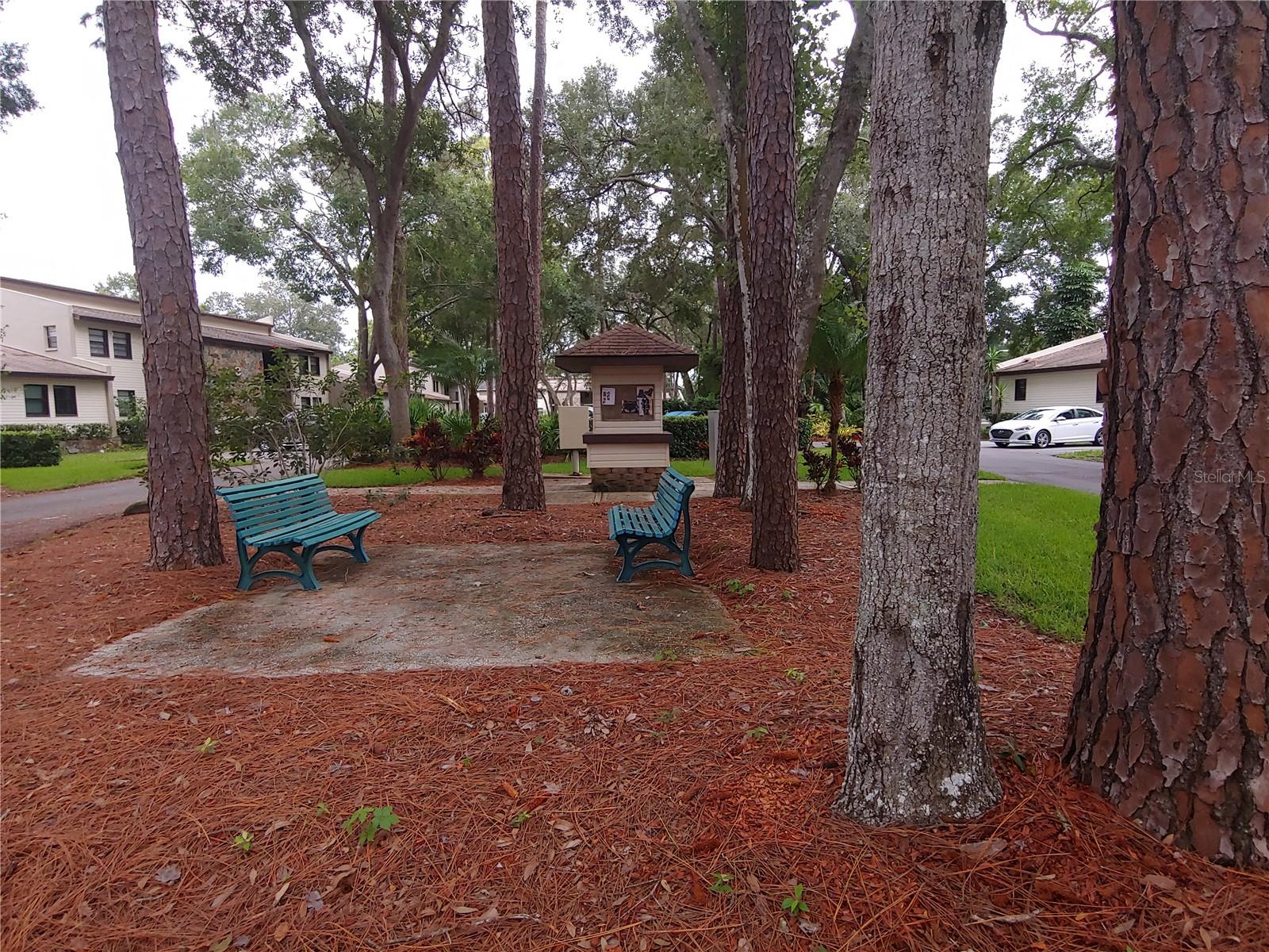 Image 28 of 28 For 1000 Tarpon Woods Boulevard 704