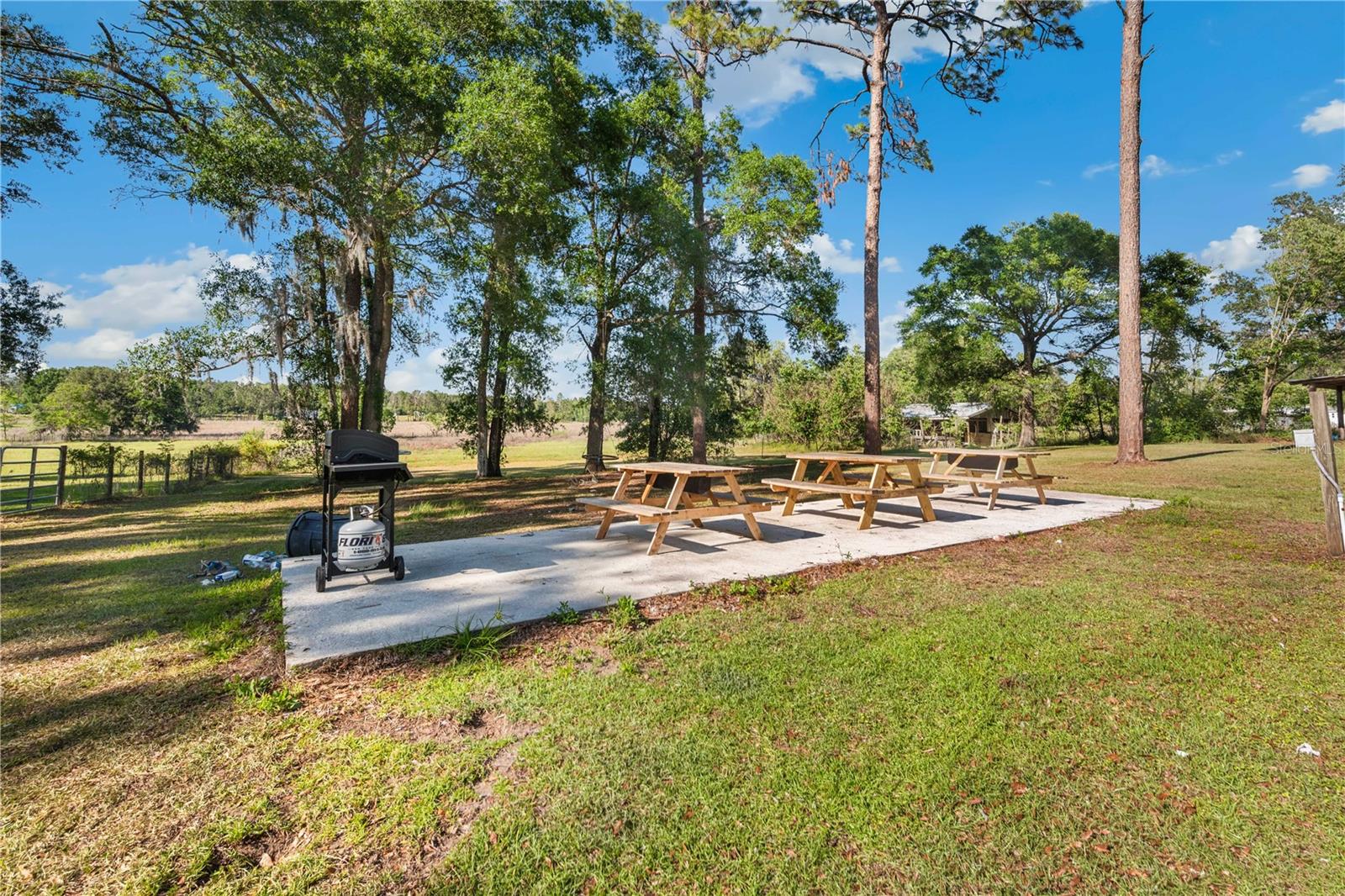 Listing photo id 12 for 27477 Old Trilby Road