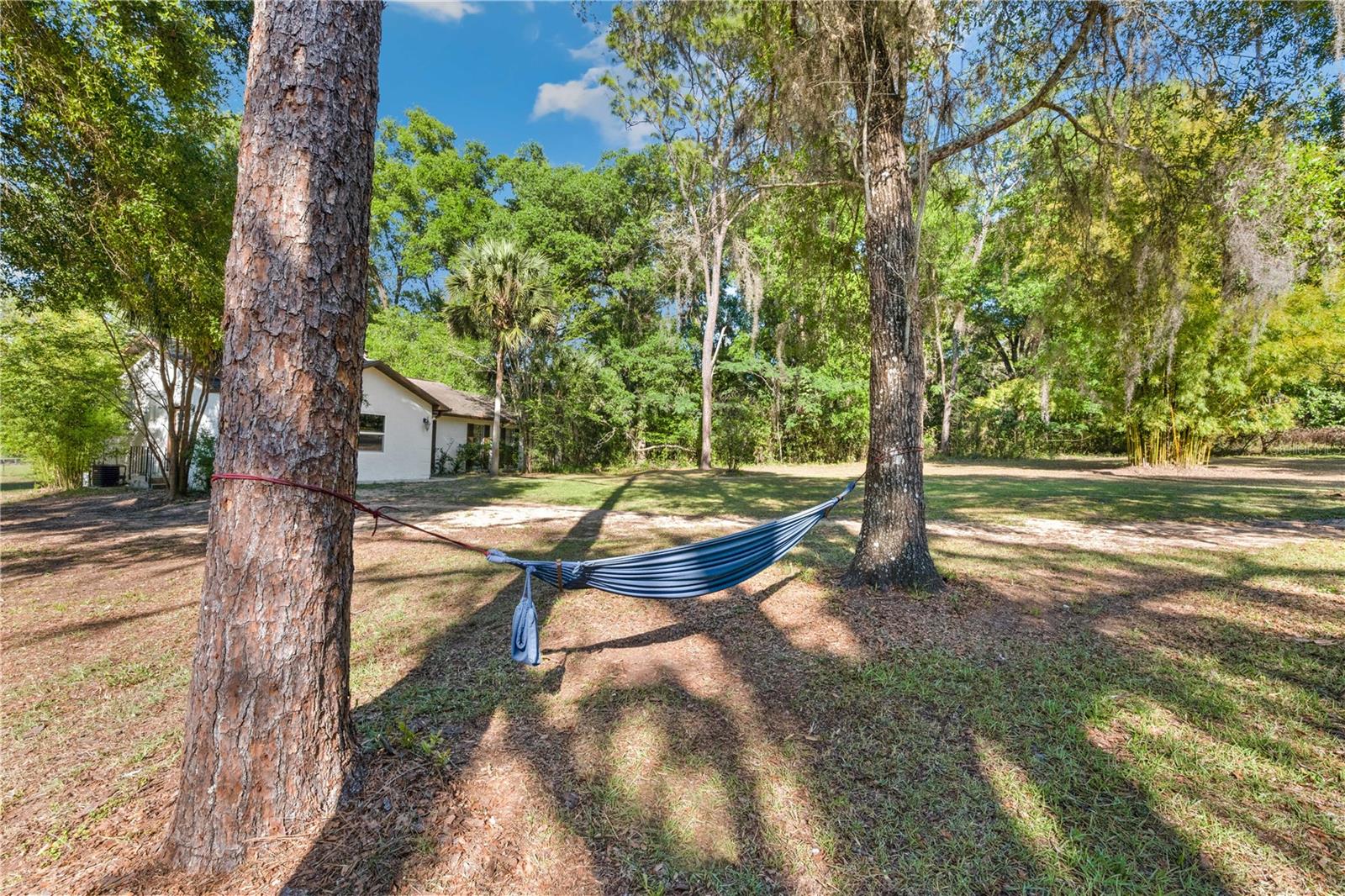Listing photo id 15 for 27477 Old Trilby Road