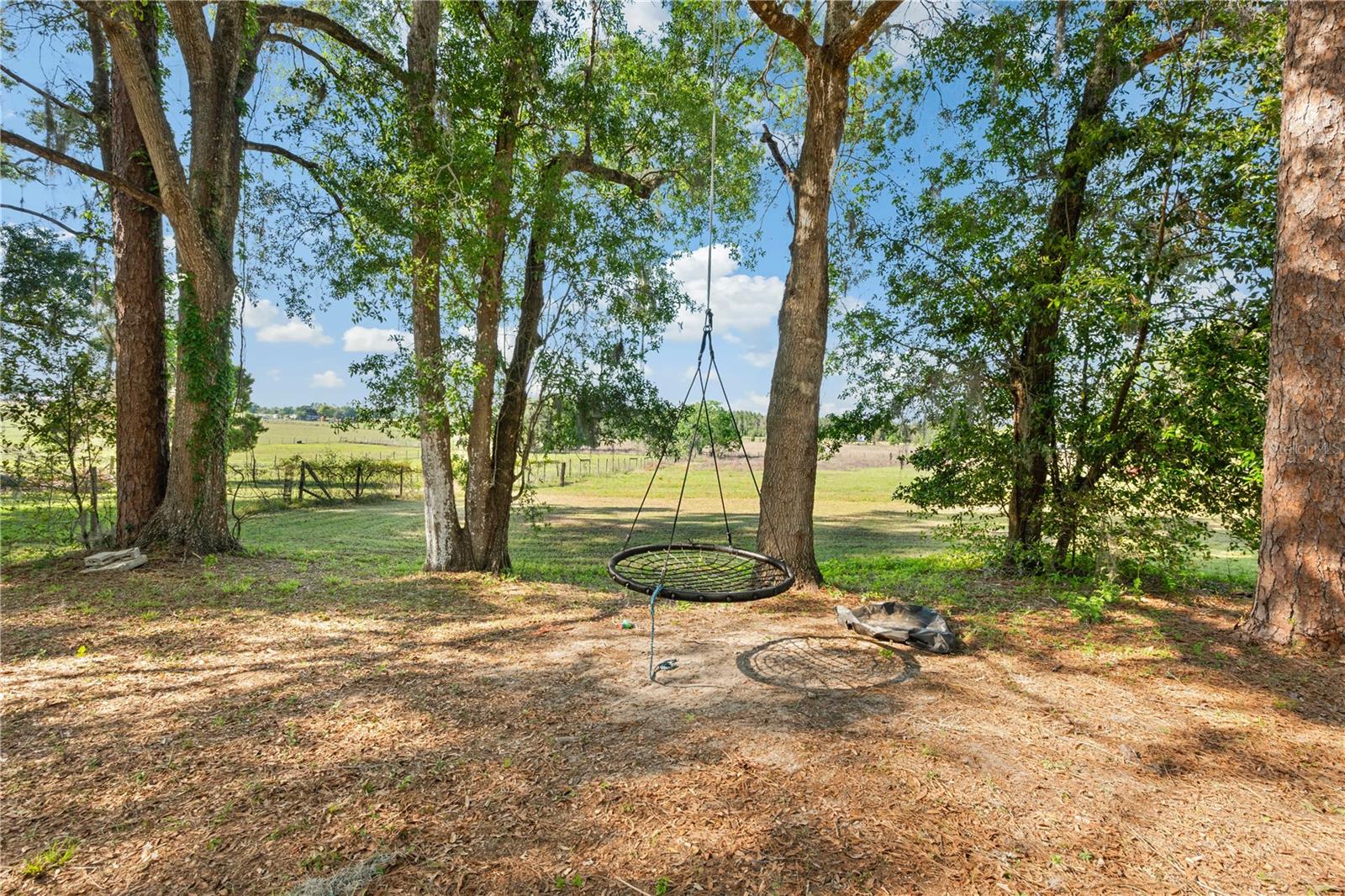 Listing photo id 17 for 27477 Old Trilby Road